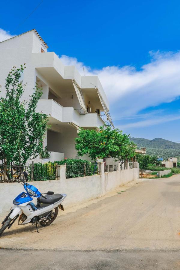 Apartmán Vila Fredi *